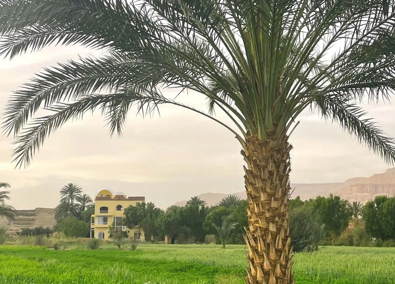 Karima House Hotel Luxor Egypte